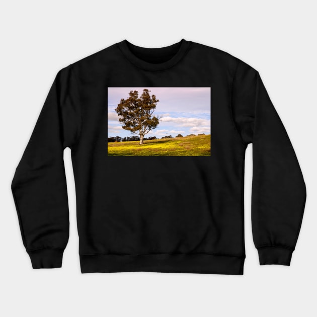 Spring has Arrived Crewneck Sweatshirt by jwwallace